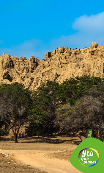 Huaca el Oro. Santuario Histórico Bosque de Pomac